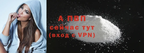 PSILOCYBIN Новодвинск