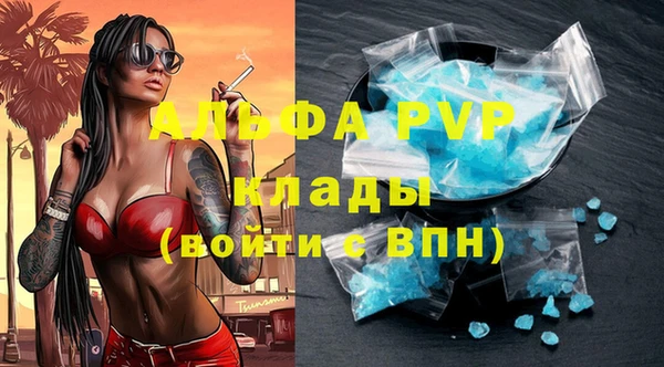spice Аша